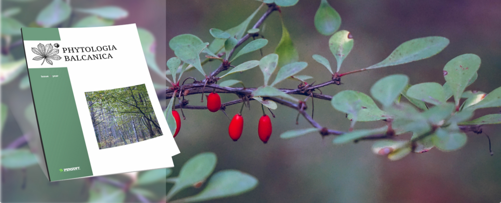 A journal cover titled "Phytologia Balcanica" next to a branch with green leaves and bright red berries in a blurred background.